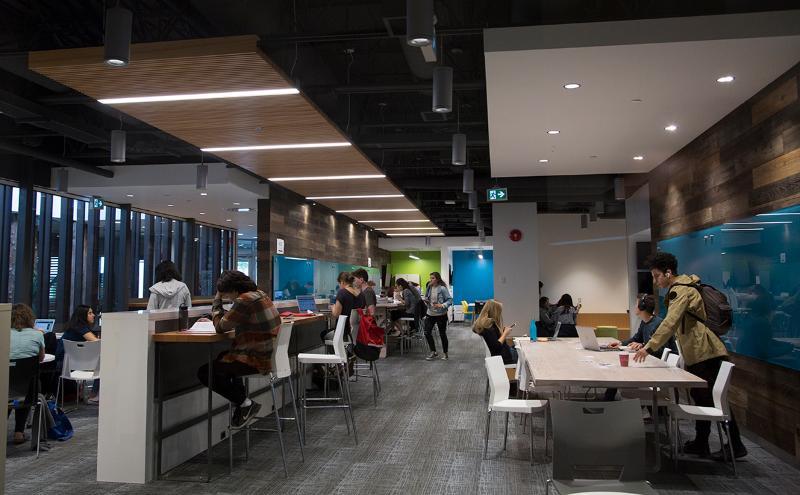 Students studying in the Learning Commons